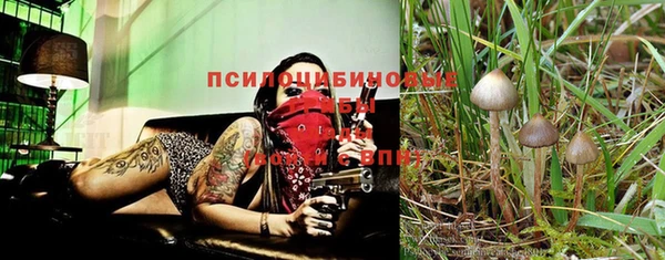 а пвп мука Киренск