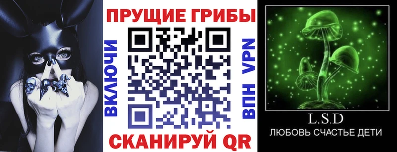 Псилоцибиновые грибы GOLDEN TEACHER Называевск