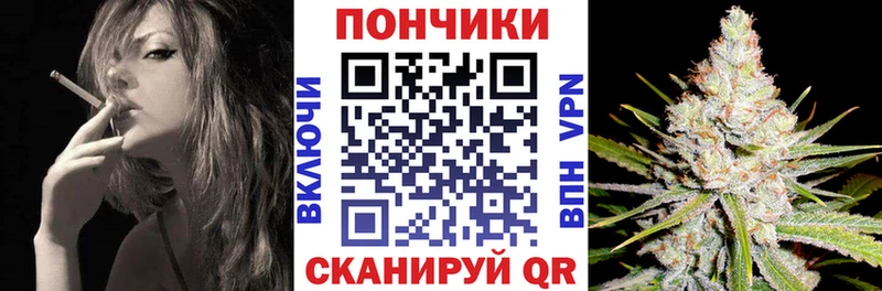 МАРИХУАНА план  дарнет шоп  Называевск 